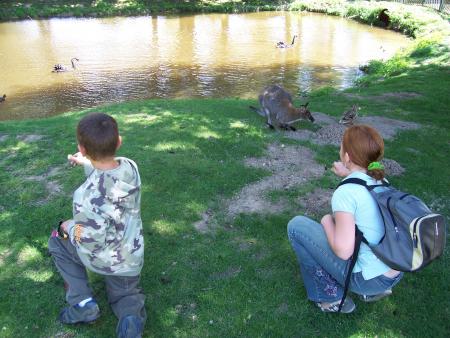 mes enfants... parc kangourou 